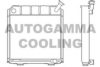 CITRO 1331PZ Radiator, engine cooling